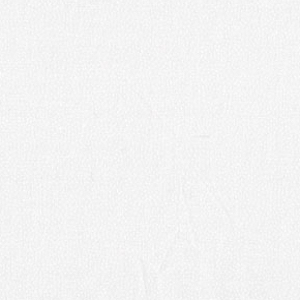 302 W1Tiny Dot  